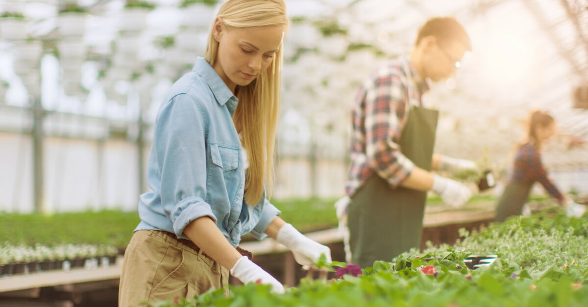 efficient-labor-management-equals-more-profit-for-greenhouse-growers