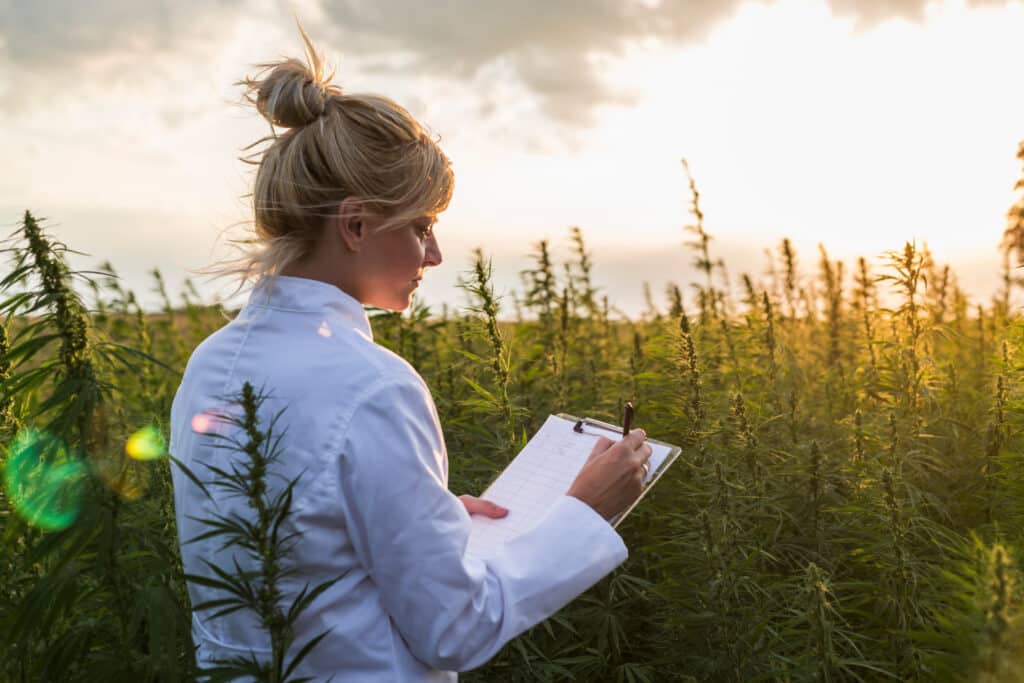 A worker taking cannabis inventory management notes.