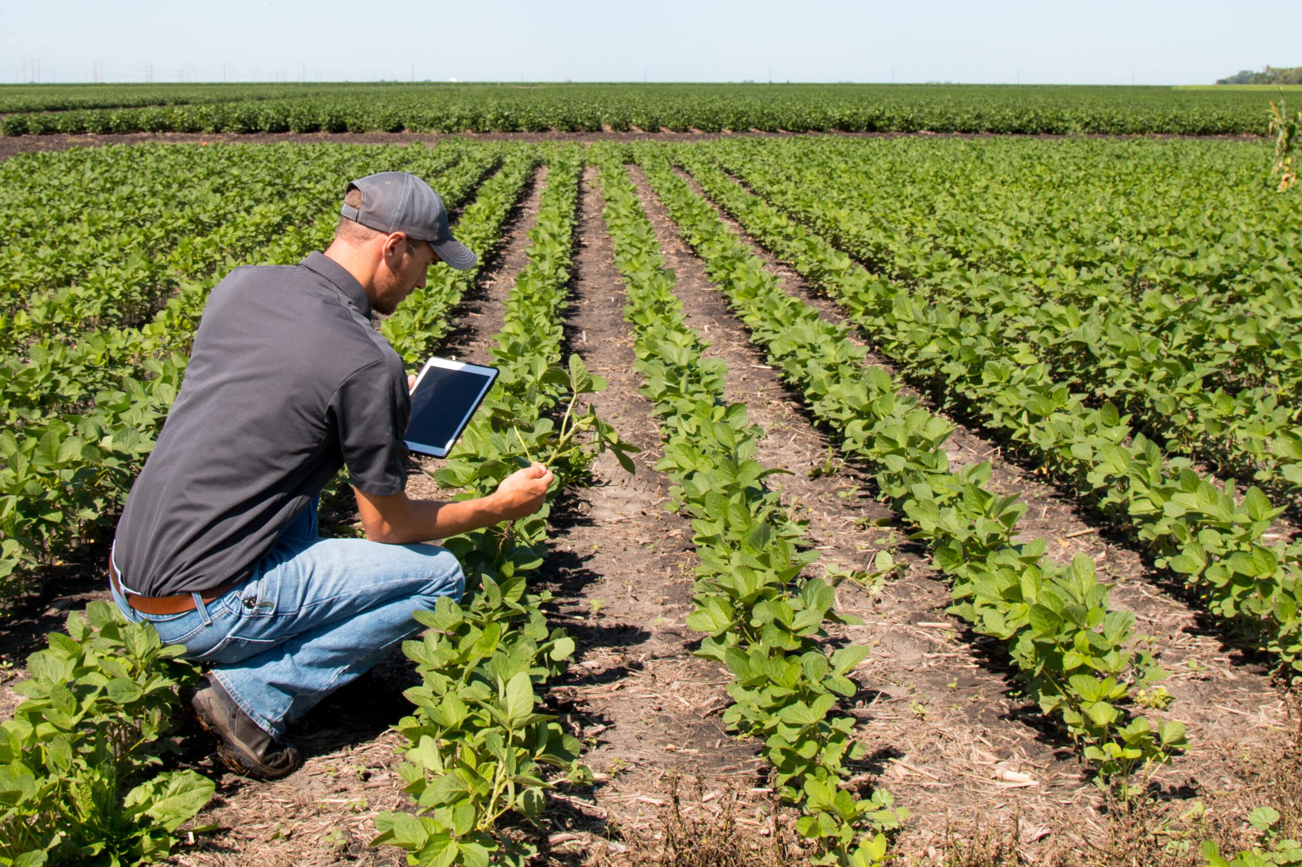 Technology Trends Driving the Agribusiness Industry